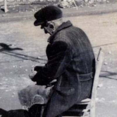 dracunculus_'s profile picture. 