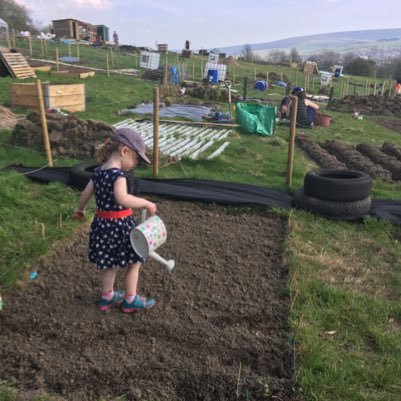 Official account for news,fun, activities & advice from Dinting Allotments,Glossop, Derbyshire #allotments #gardening #communitygardening #growyourown