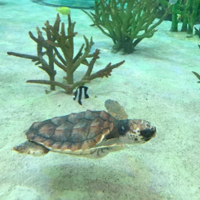 GyJGnkAd9IxqWDl's profile picture. 子供と出掛けること大好き☆