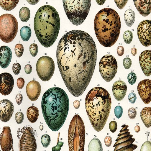 first_505's profile picture. volunteering data legal IT software engineering imaging maritime robots

Tweets may not represent opinion

I may follow those I don't agree with