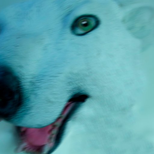 polarbearさんのプロフィール画像