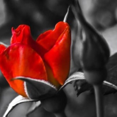 صور وخواطر واقتباسات '''''''''''''''''''''''''''''''''''''''''
سنابي dalal.vip1 حياكم ,,,,🥰
