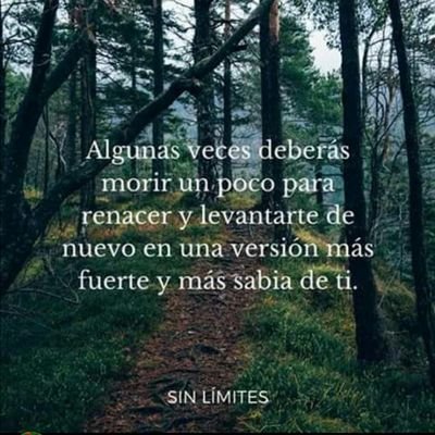 NeonDavid2's profile picture. 