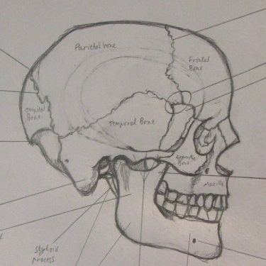 Nathomnicron's profile picture. 