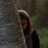 marinou_o's profile image