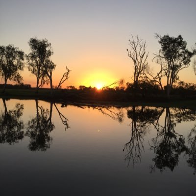 Principal Research Scientist, immunology, vaccines to ruminant reproductive diseases, host-pathogen interactions, tool development. Tennis, views are my own.