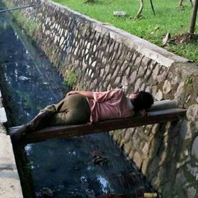 alterpahpoh's profile picture. Manusia itu human