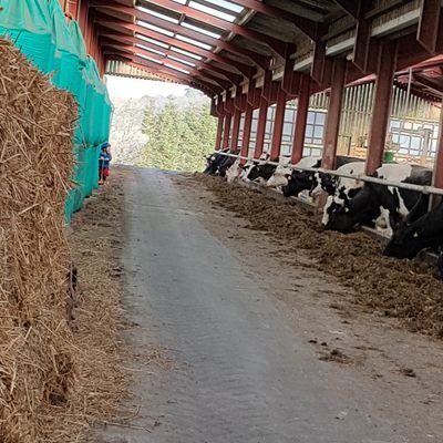 Dairy farmer, Rural Surveyor, wife and mother to 2 young boys.