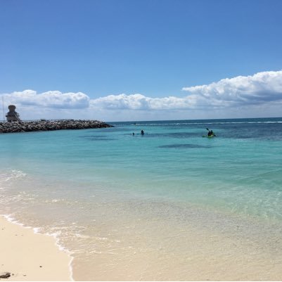 amypoeocean's profile picture. 