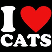 I Love Cats(@_iheartcats) 's Twitter Profile Photo