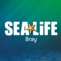SEA LIFE Bray (@braysealife) 's Twitter Profile