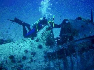 SCUBA_Lyle's profile picture. Avid SCUBA diver since 1968, and owner of Core Health Innovations - Eliminate hunger and cravings for good.