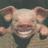 voodoor1's profile image
