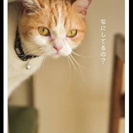 mikannroom's profile picture. Twitter初心者です🐣使い方勉強中です🐥
趣味は懸賞応募🎁💌ラジオ📻野球観戦⚾Youtube視聴、読書📚お掃除🌸
ワクワク体験増やしたいです🍀🌈よろしくお願いします🎶