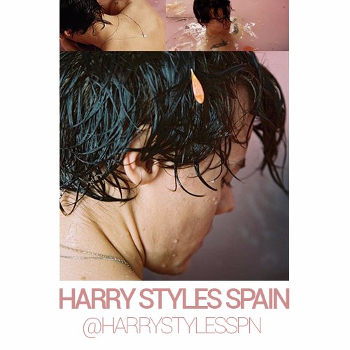 Toda la información sobre el cantante y actor, Harry Syles (@harry_styles), en el club de fans en español. Contacto: HarryStylesSPN@gmail.com