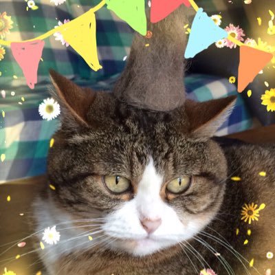 Hatsumiさんのプロフィール画像