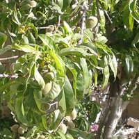 البلوي (@pdaxlffhsezuzi3) Twitter profile photo