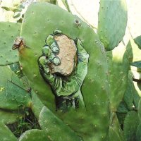 M.K.Simsek (@muksims) Twitter profile photo