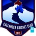 Callander Cricket (@CallanderCC) Twitter profile photo