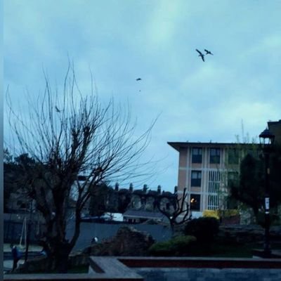 iii563's profile picture. .



أستغفرالله