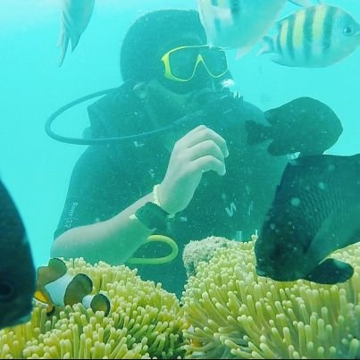 nitinedida's profile picture. GM @ Sreenidhi  // Partner - Poornodaya Movie/Art Creations