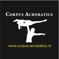 We are a wellestablished acrobatic theatre company based in Amsterdam that has been staging spectacular acrobatic shows all over the world