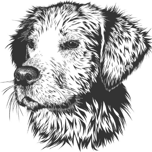 Whole Pooch provides professional dog training services with certified trainers. Premium boarding & daily doggy adventures. We offer home visits in Austin!
