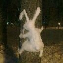 TurnoFF_HS's profile picture. Hearthstone pro player