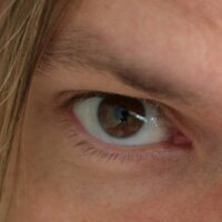 Mikael Fritzing (@fritzing) 's Twitter Profile