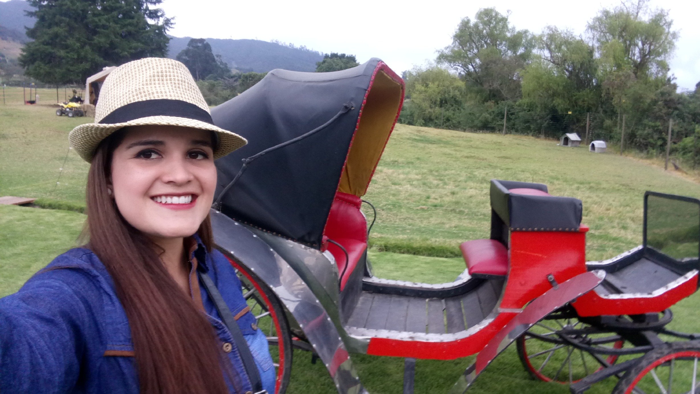 Sussycbernalg's profile picture. 