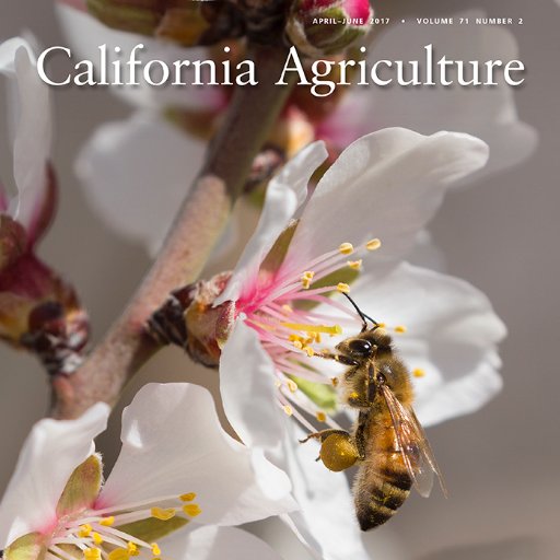 Managing editor at California Agriculture journal https://t.co/HvIVPHBLzc