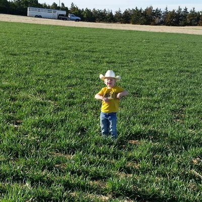 Husband, father, farmer. Help operate a farming and stocker cattle operation in northeast Colorado.
