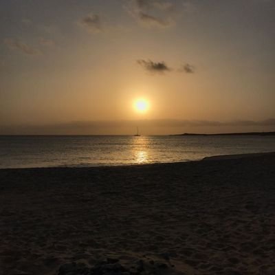 senuctech's profile picture. 