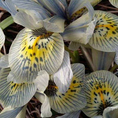 ChristinePretat's profile picture. 