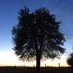 🌳Jill 🐾🌺⛰👣🐕🦺🍻🏴🇪🇺 (@bansardiere) Twitter profile photo 🌳Jill 🐾🌺⛰👣🐕🦺🍻🏴🇪🇺 (@bansardiere) Twitter profile photo
