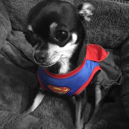 original_smalls's profile picture. 