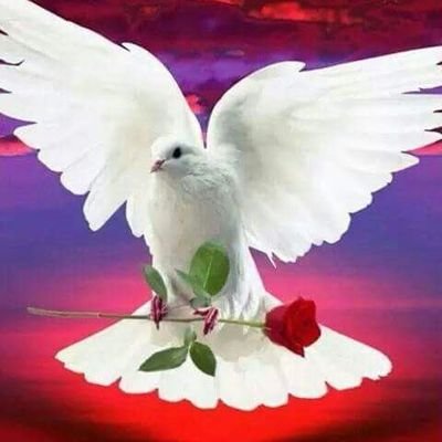 🌟 Sports🌟🏆 🏒💙⚪❤ 🍃🍃 Nature🌹🌿🎶 🍃🍃 🦁🐾🐯🐾🐶 🍃🍃 ~ ~☆~~ 🤩 🌈💗💕 *SIMPLICITÉ* 🍃🕊 🍃🍃 *RESPECT* 🍃🕊 🍃🍃 *ÊTRE SOI-MÊME* 💕💗✍