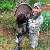 Chad Norton (@chadnortonar) 's Twitter Profile