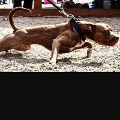 maxbean9's profile picture. GodisGreat777