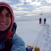 Lily Cohen (@lilyofthepingo) 's Twitter Profile
