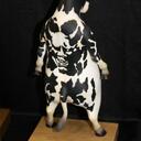 Brian Han - @MoowooMoowoo - Twitter