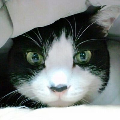 Yukio トロ子 黒田美樹 野村朋子 Gto もう見れないと思ってた T Co Dwntd38emp Twitter Yukio トロ子 黒田美樹 野村朋子 Gto もう見れないと思ってた T Co Dwntd38emp Twitter