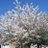 twitter profile