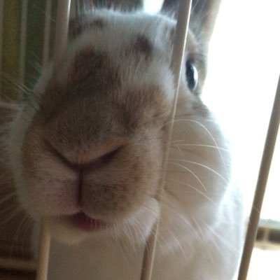 ひ な こさんのプロフィール画像
