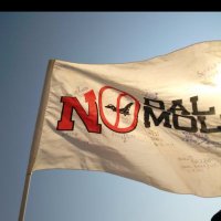 NO DAL MOLIN (@nodalmolin) 's Twitter Profile