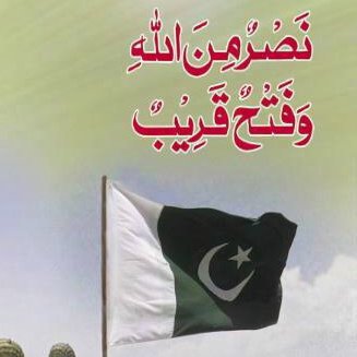 kamranmughal236's profile picture. 