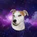 Astro Putas (@putastrology) Twitter profile photo Astro Putas (@putastrology) Twitter profile photo
