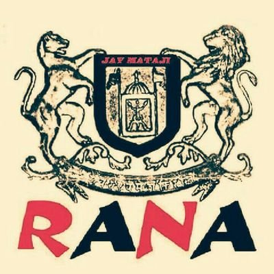 netsolution009's profile picture. 