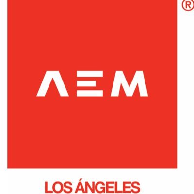 AEM is a nonprofit org, with the objective of providing support for Mexican entrepreneurs and professionals in their effort to be successful in the U.S.