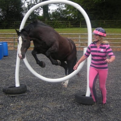 I have been helping people to connect with their horses for 20 years if you would like to form a partnership with your horse, contact me 07703 132932